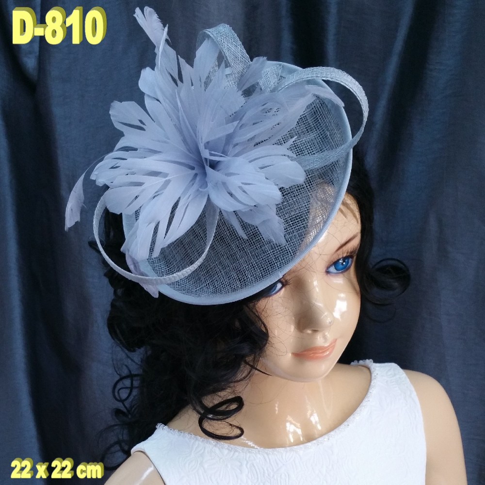 D-810 (1)